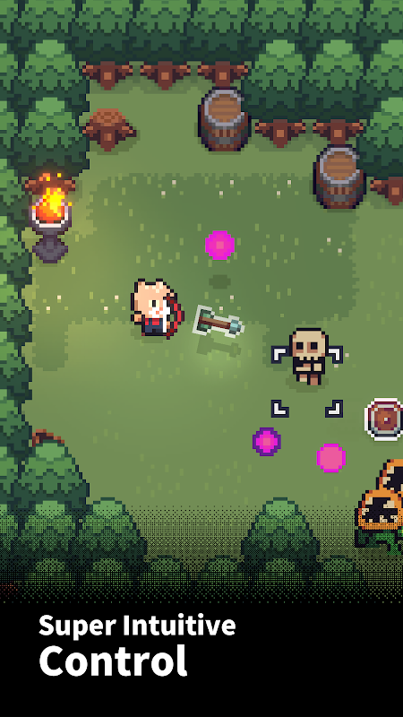 The Way Home: Pixel Roguelike 5
